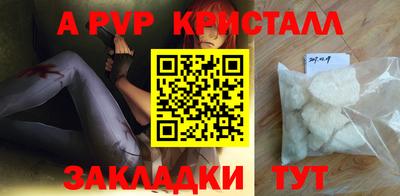 ECSTASY Новозыбков